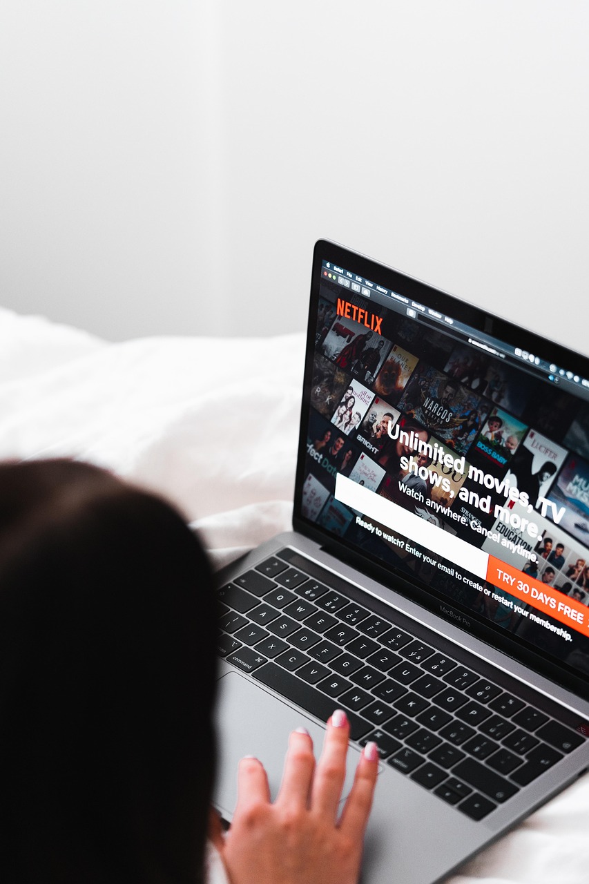 Services-03 laptop, netflix, entertainment, movies, choose, watch, leisure, technology, relaxation, netflix, netflix, netflix, netflix, netflix